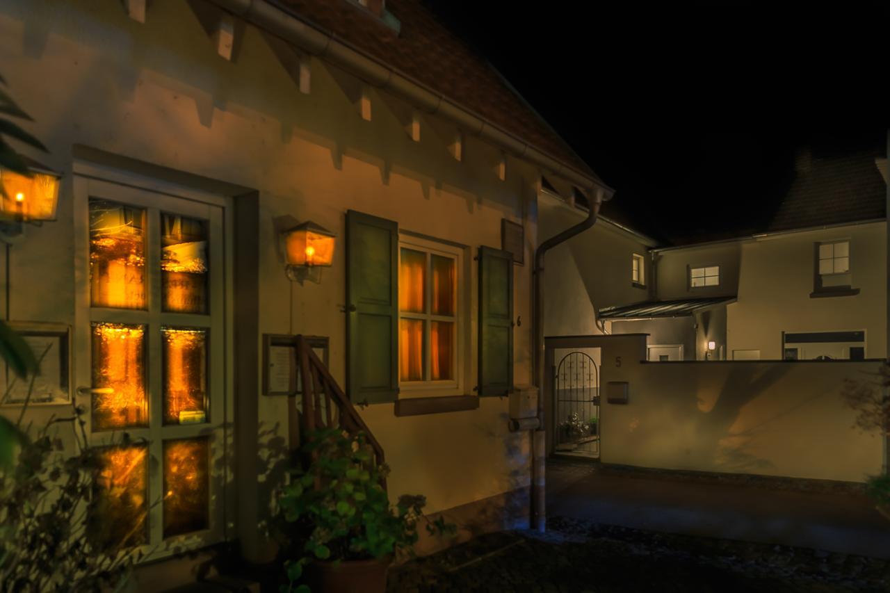 Landhaus Rebstock Вормс Экстерьер фото