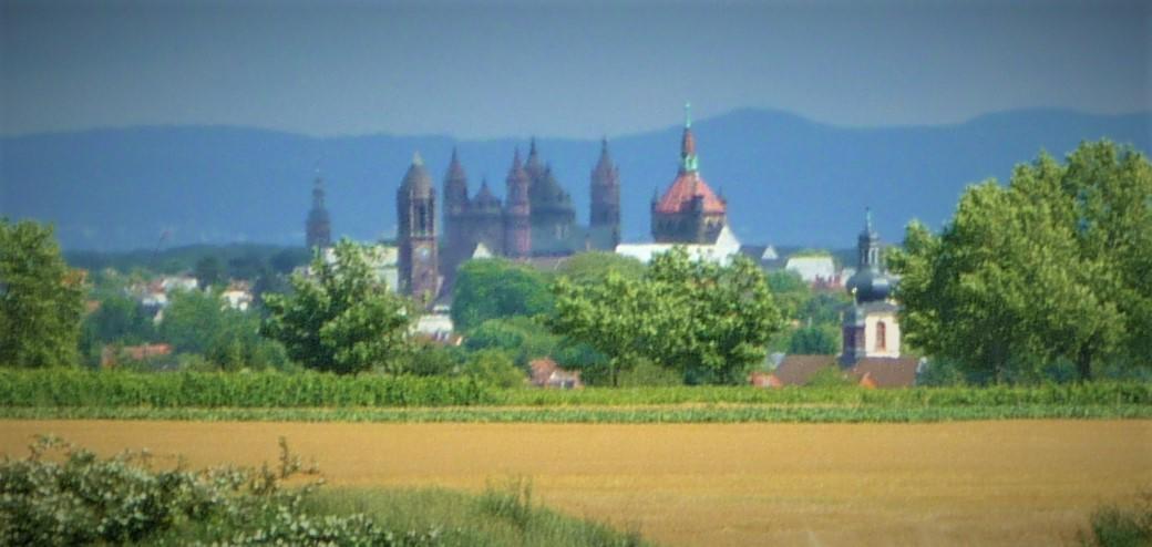 Landhaus Rebstock Вормс Экстерьер фото